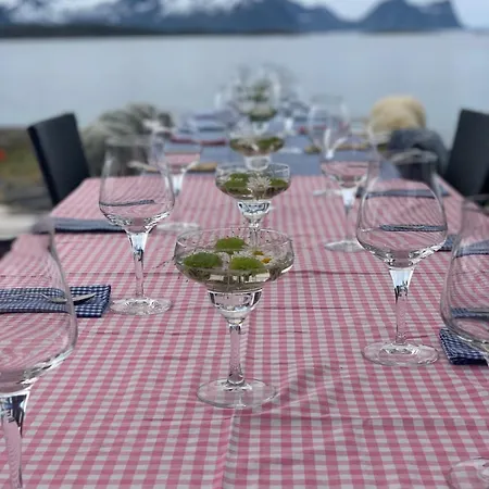 Feriehus Bergnes Senja