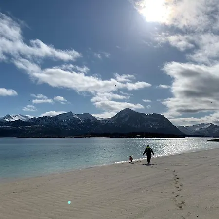 Bergnes Senja